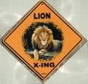 lion crossing
